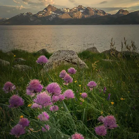 Διαμέρισμα In Τρόμσο
