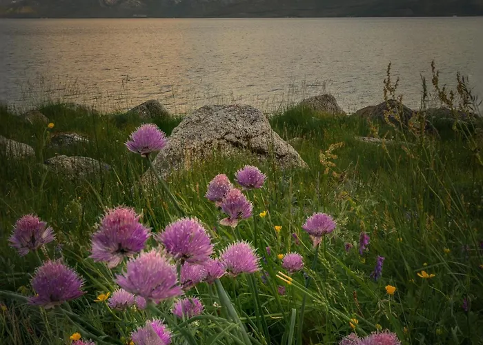Apartmán In Tromsø